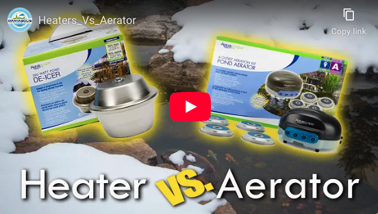 Pond Heater vs Aerator